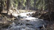 Little Boulder trail May 11