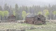 Hay Canyon May 2013