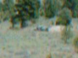 DSCF0029
