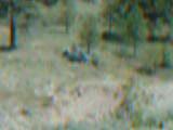 DSCF0033