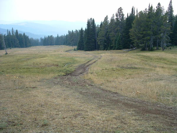 Dscf0087