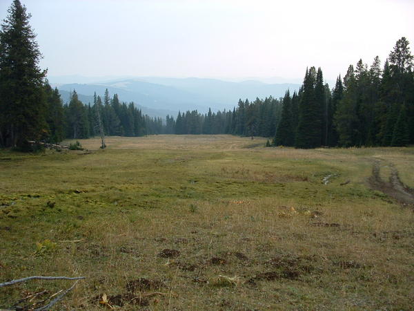 Dscf0089