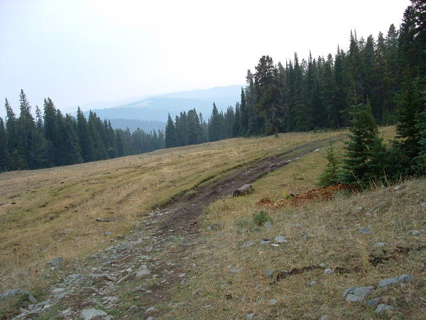 Dscf0091