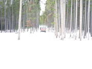 2009