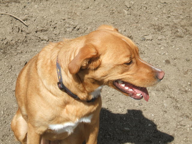 2008_1015parklake20090015