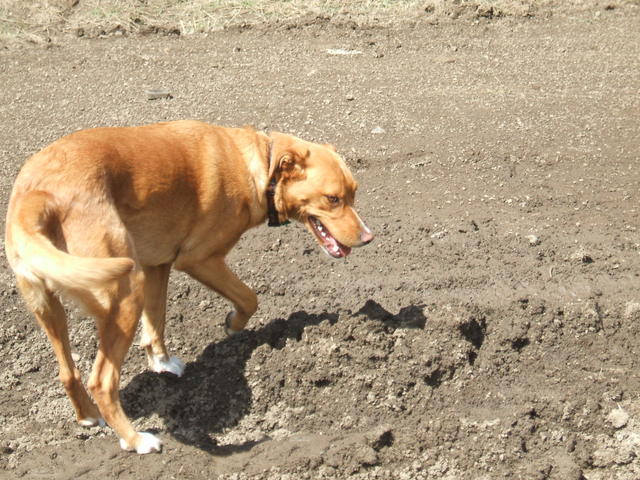 2008_1015parklake20090017