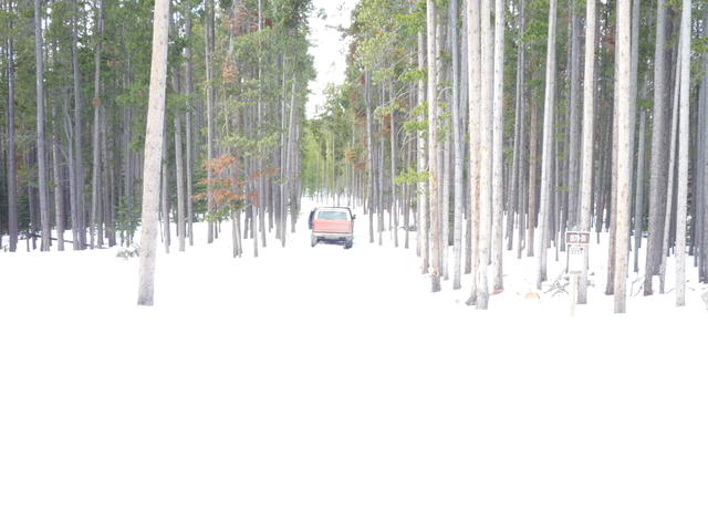 P1000255