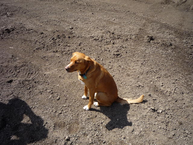 P1000257
