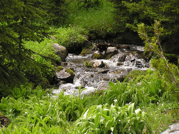 P7120008