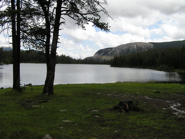 P7130015
