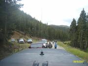 bronco vid (26)