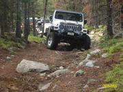 bronco vid (37)