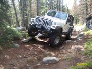 bronco vid (38)