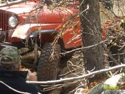 bronco vid (41)