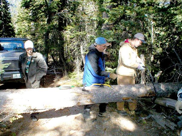 PA250020 - Woops. Trail Blockage. Where's the chainsaw when you need one?
Tom's cutting, Mike Kelly's supervising, and Mike Woo