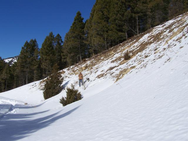 100_0713.JPG