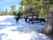 trail3