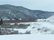 Looking north on the Boulder River road