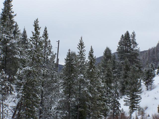 100_0851.JPG