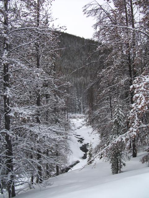 BoulderRiverRd (11)