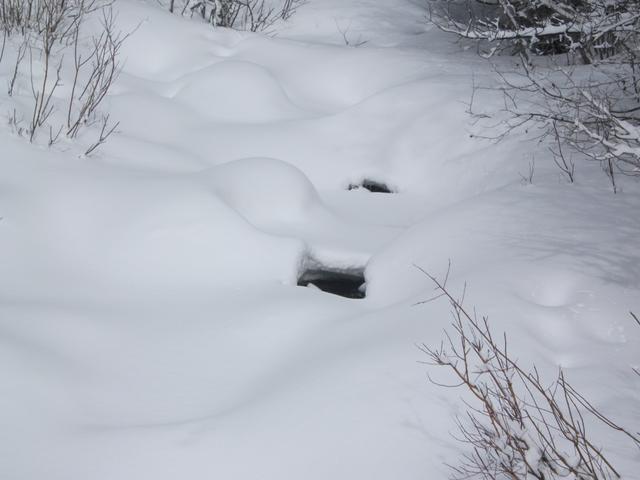 BoulderRiverRd (16)