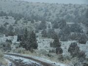 100_0871.JPG