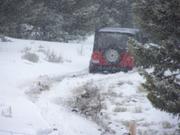Getting snowy.