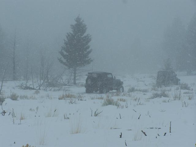 100_0889.JPG