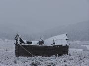 The old barn is starting to give in to the snow.