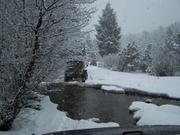 100_0913.JPG