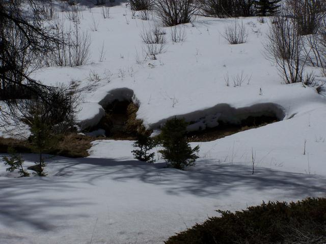 100_0943.JPG
