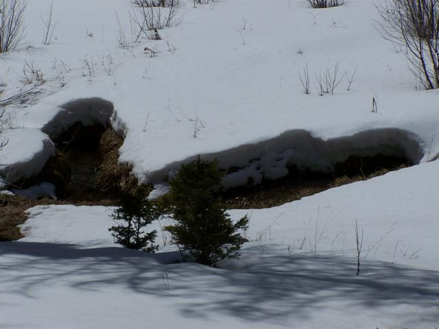 100_0944.JPG