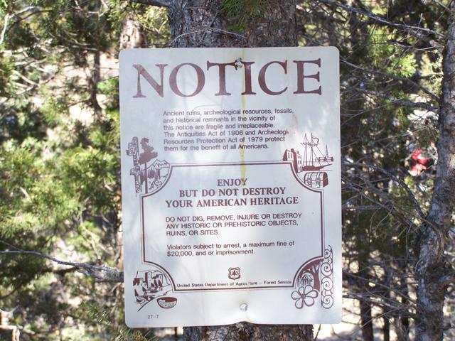 100_0975.JPG