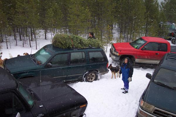 Tree mounting on an Explorer
