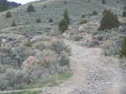 100_1074.JPG