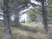 100_1079.JPG