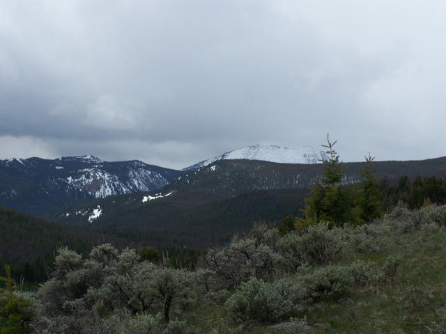 100_1083.JPG