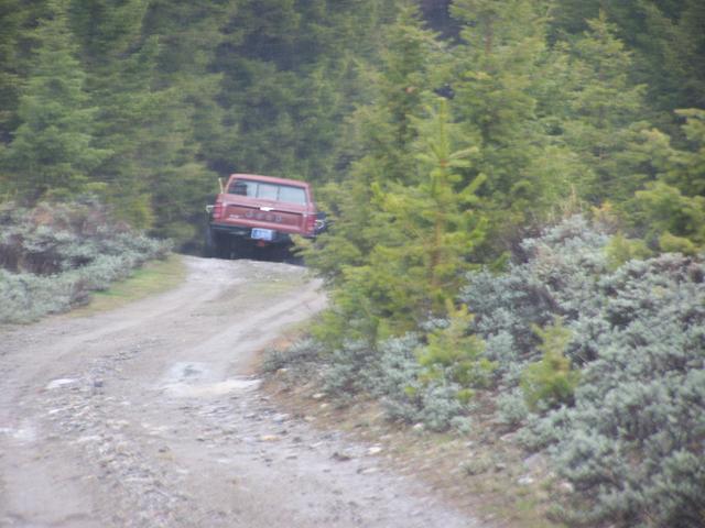 100_1115.JPG