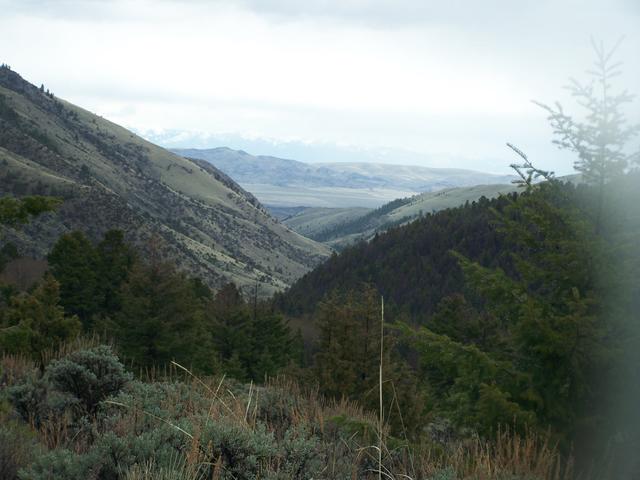 100_1116.JPG