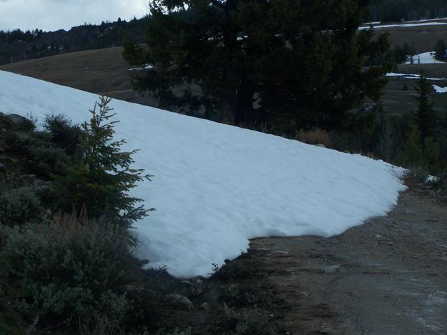 100_1133.JPG
