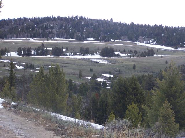 100_1134.JPG