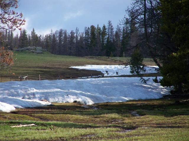 100_1212.JPG