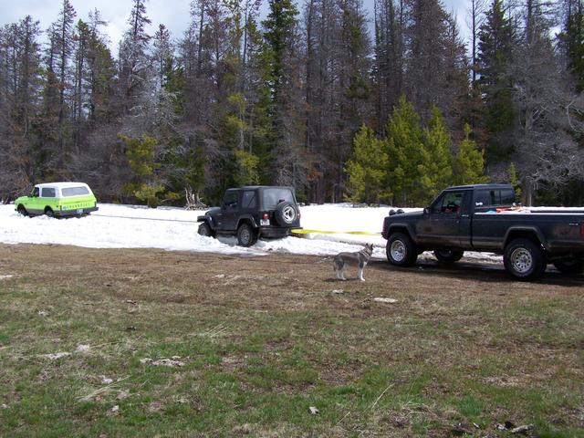 the Daisy Chain method