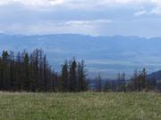 100_1259.JPG