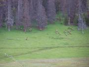 100_1266.JPG