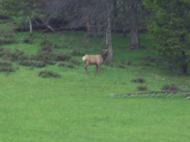 100_1268.JPG