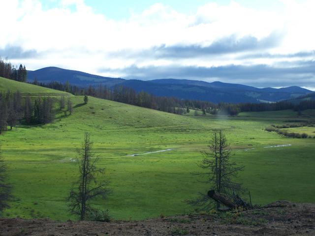 100_1272.JPG
