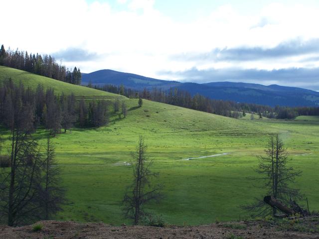 100_1273.JPG