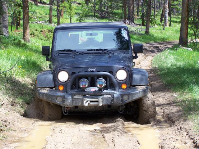 100_1296.JPGStuck in the mud