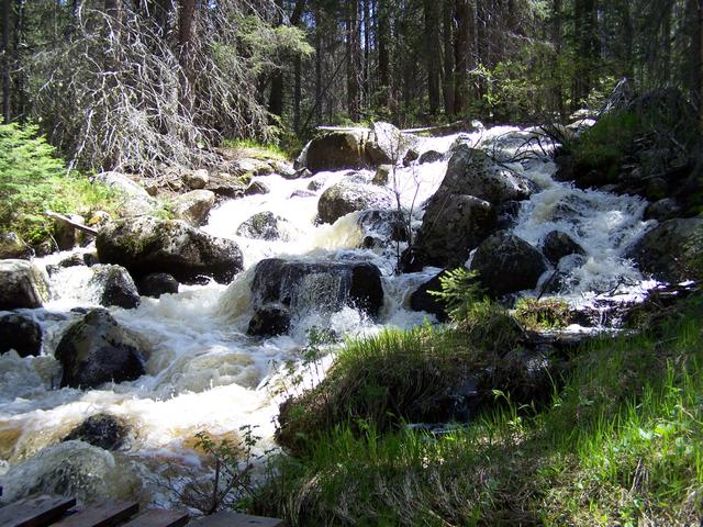 100_1304.JPG